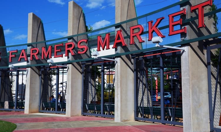 dallas farmers market weekend itinerary for longhorn charter bus